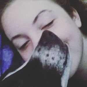 Meet your Posher, Molly