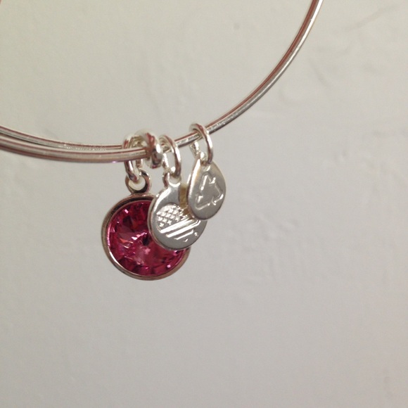Alex and Ani ruby charm bracelet