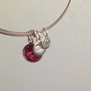 Alex and Ani ruby charm bracelet