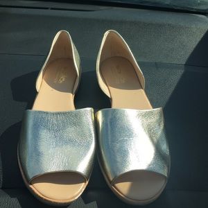 Beautiful Coach and Four flats