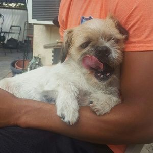 Meet your Posher, Austin