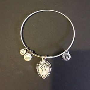 Alex and Ani unexpected miracles bracelet