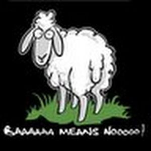 Meet your Posher, Alisa