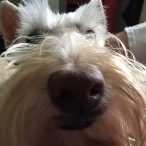 Meet your Posher, Tammy