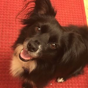 Meet your Posher, Addie