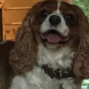 Meet your Posher, Kate