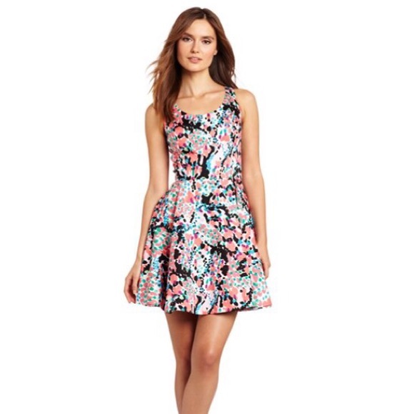 NWT Lilly Pulitzer Gosling Dress