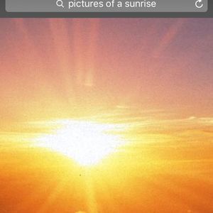 Meet your Posher, Julianne