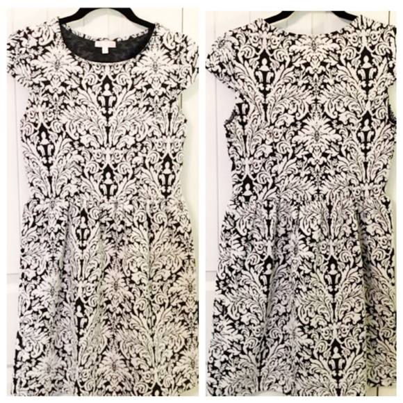 Gianni Bini damask print fit and flare dress