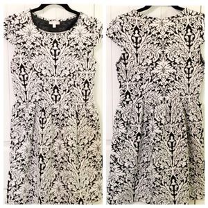 Gianni Bini damask print fit and flare dress