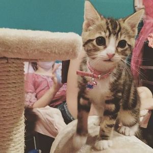 Meet your Posher, Alexis