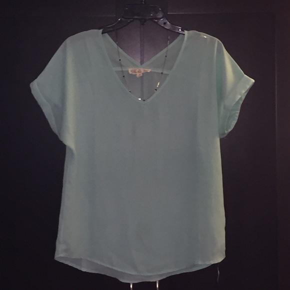Pink rose blouse