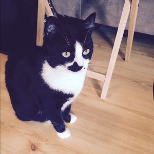 Meet your Posher, Jodi