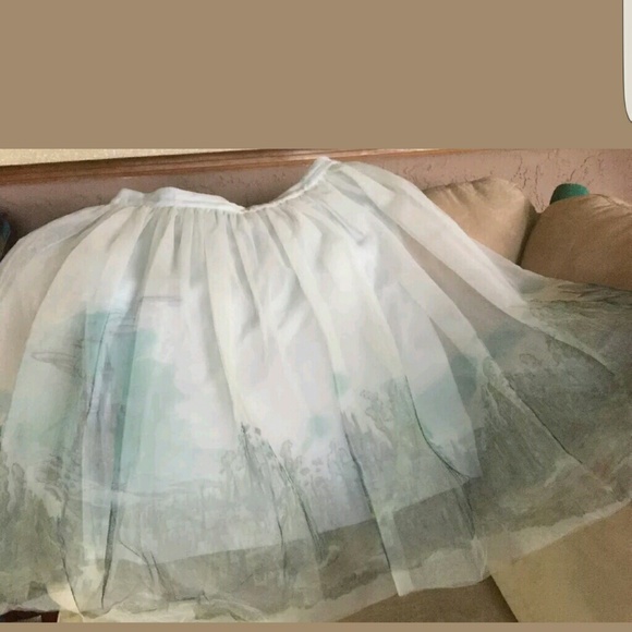 Cinderella tulle skirt NWT