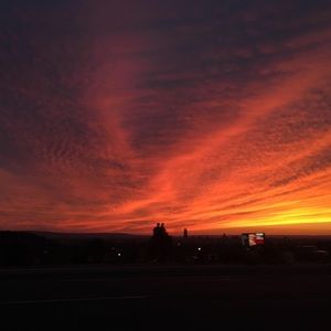 Meet your Posher, Ava