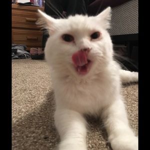 Meet your Posher, Johnny