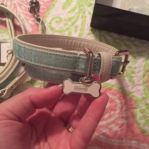 Coach striped dog collar and leash set.