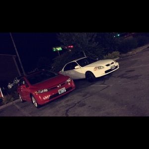 Meet your Posher, Sylvia