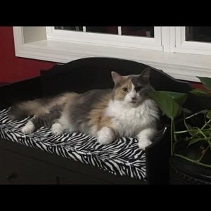 Meet your Posher, Pam