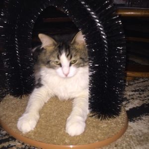 Meet your Posher, Liz