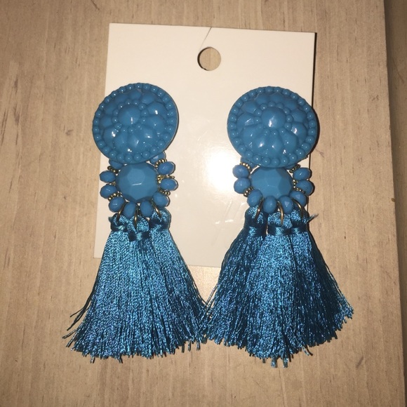 Teal Tassle Earings