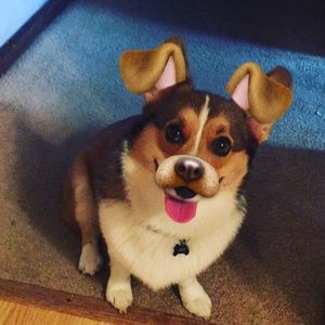 Meet your Posher, Meagan