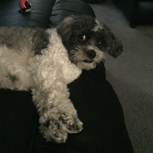 Meet your Posher, Irene