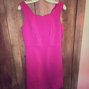 The Limited Scallop Dress