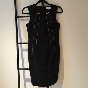 Calvin Klein Black Sheath Dreas