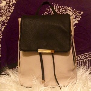 🎒 Nude and Black Messenger Bag.