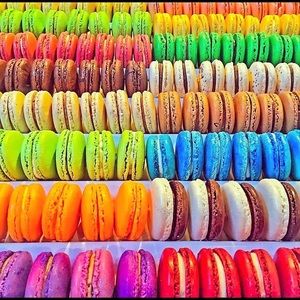 Meet your Posher, Bridget