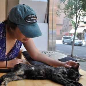 Meet your Posher, Catherine