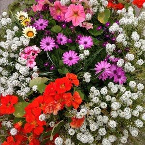 Meet your Posher, Janice