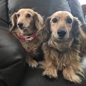 Meet your Posher, Lori