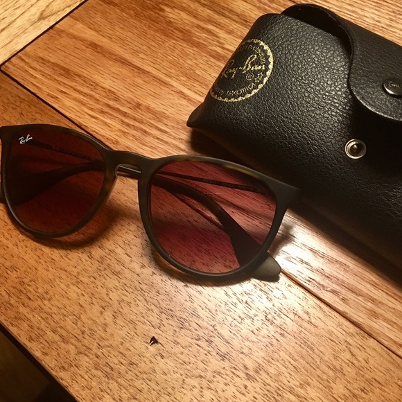 Ray-Ban Erika Sunglasses