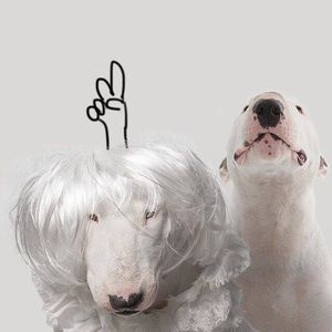 Meet your Posher, Yang