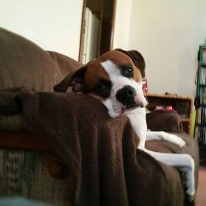 Meet your Posher, Janiece