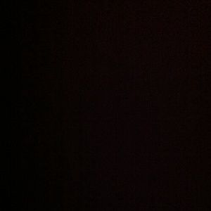 Meet your Posher, Solomon