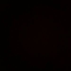 Meet your Posher, Wayne