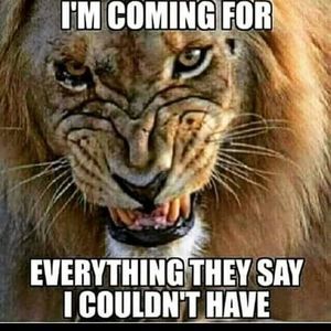 Meet your Posher, Fred