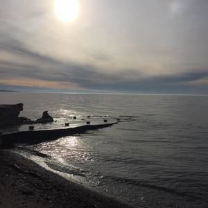 Meet your Posher, Roseann