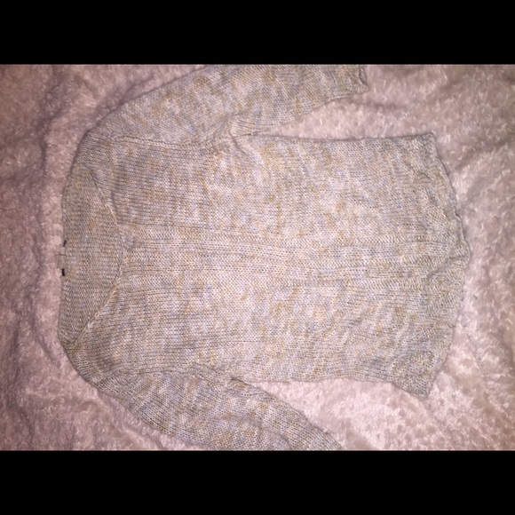 Silver Gold Knit Sweater