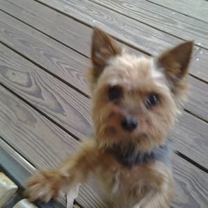 Meet your Posher, Sandra