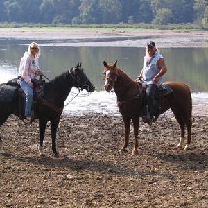 Meet your Posher, Tina-tony