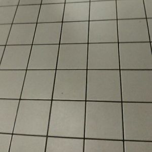 Meet your Posher, Lynette