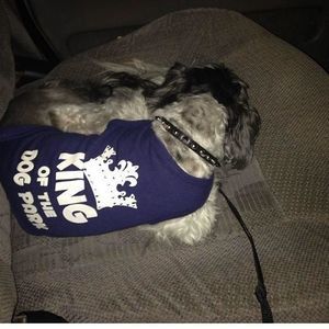 Meet your Posher, Samone