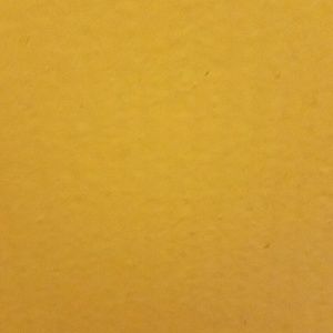 Meet your Posher, Liz