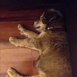 Meet your Posher, Rebecca