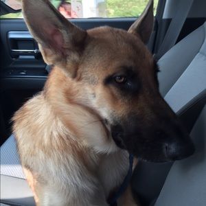 Meet your Posher, Becky