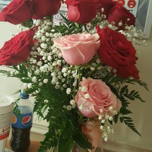 Meet your Posher, Jammie